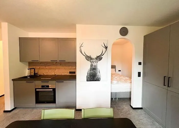 Hirscherl - Mountain Design Апартаменты Бад Кляйнкирххайм